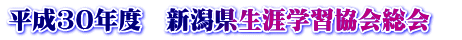 平成30年度　新潟県生涯学習協会総会　
