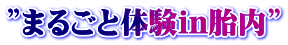”まるごと体験in胎内”
